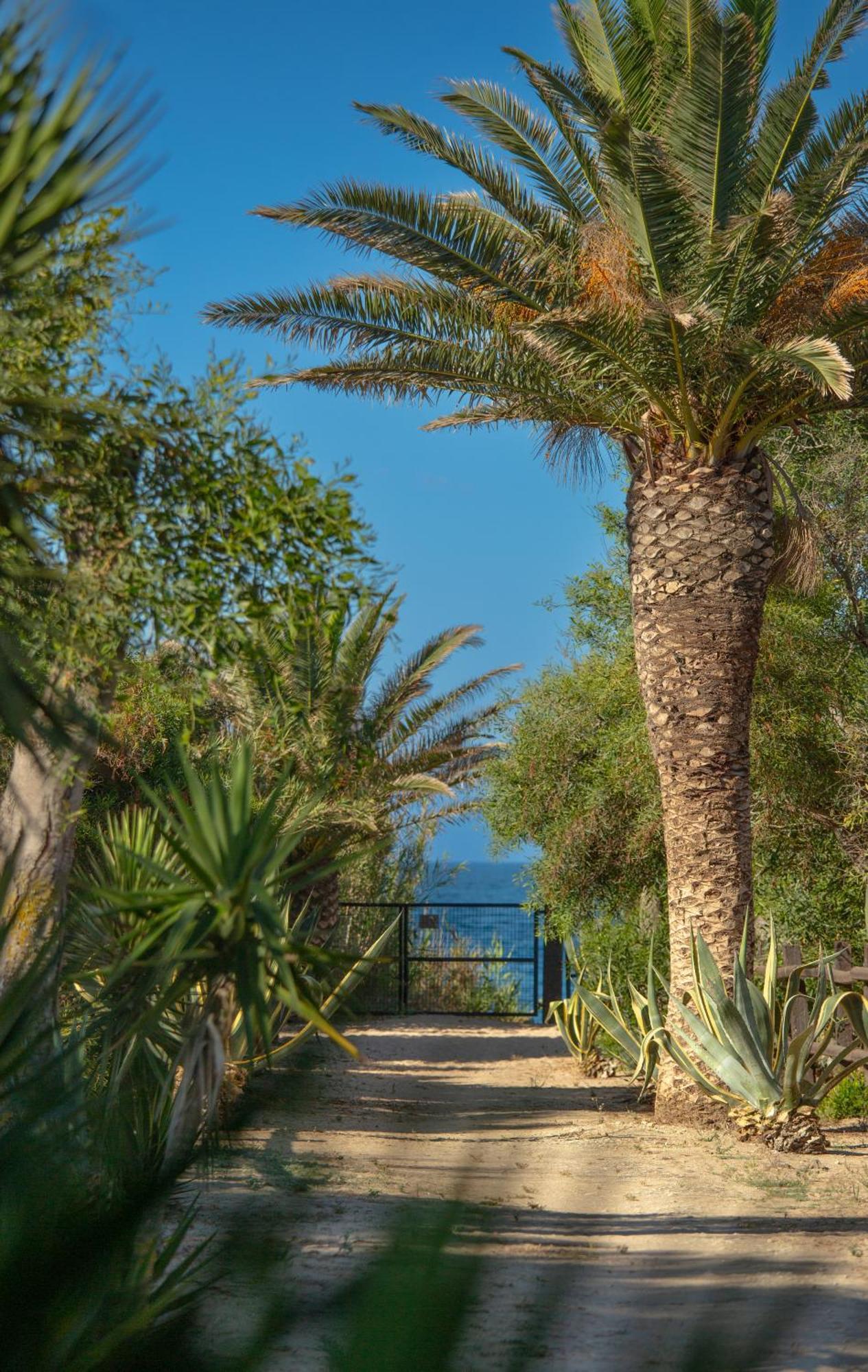 Casara Seis O Casara Siete - Tu Casa A 100M De La Playa De Zahora 게스트하우스 외부 사진