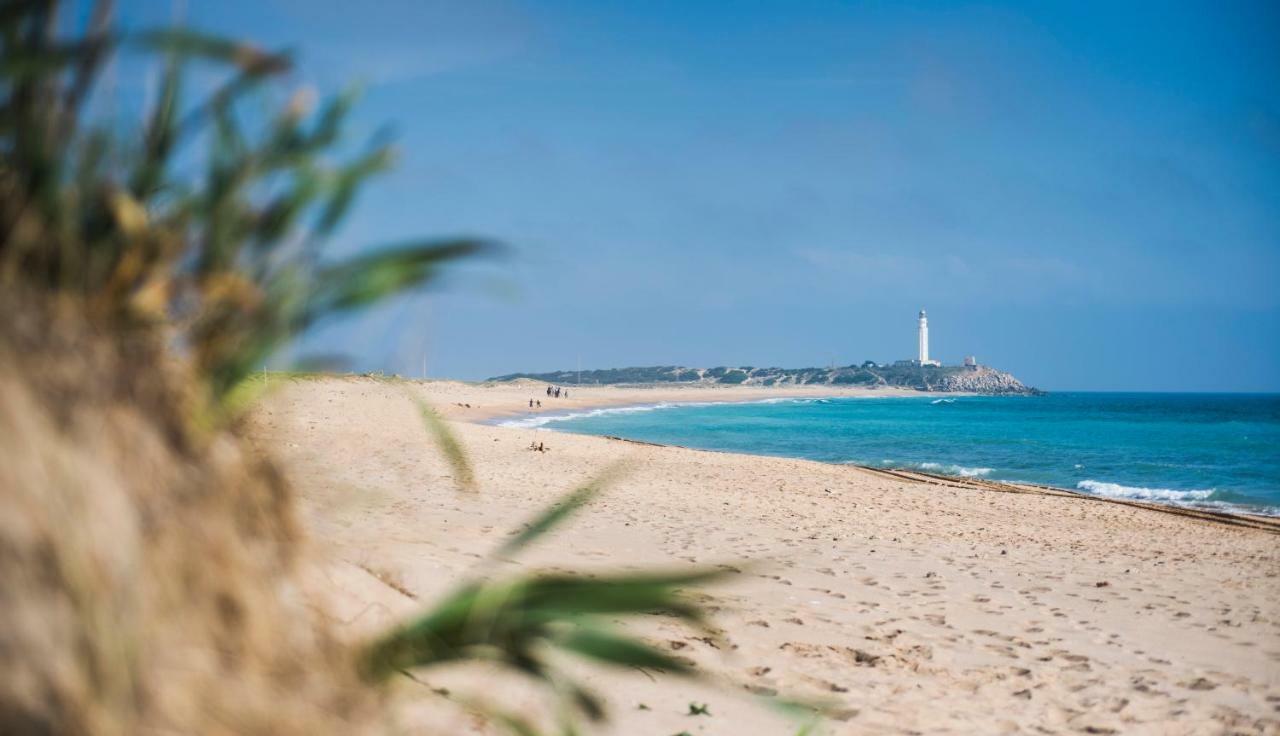 Casara Seis O Casara Siete - Tu Casa A 100M De La Playa De Zahora 게스트하우스 외부 사진