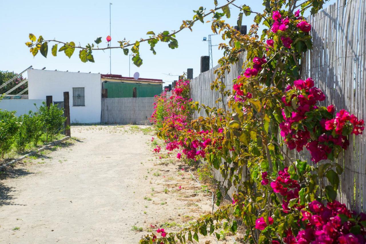 Casara Seis O Casara Siete - Tu Casa A 100M De La Playa De Zahora 게스트하우스 외부 사진