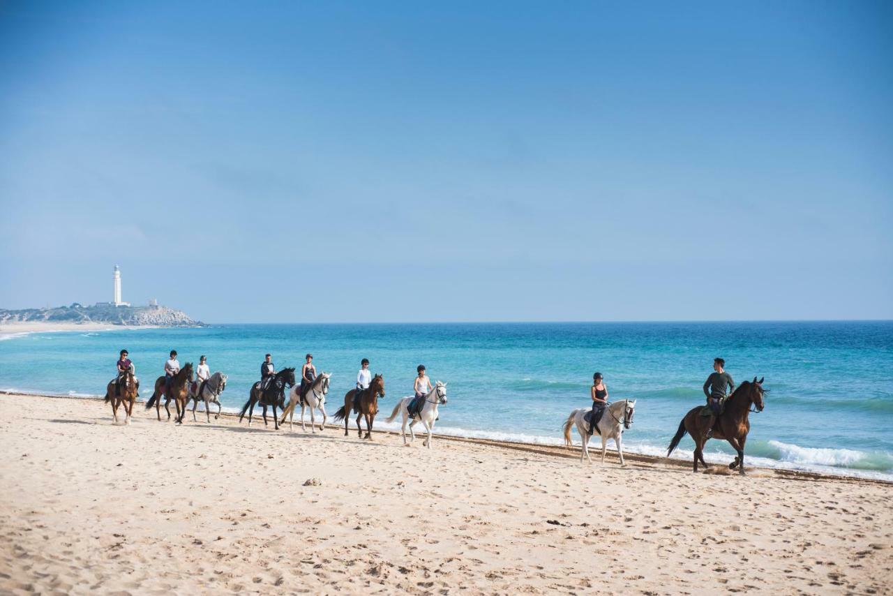 Casara Seis O Casara Siete - Tu Casa A 100M De La Playa De Zahora 게스트하우스 외부 사진